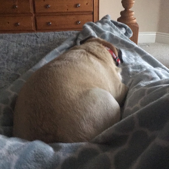 Meet your Posher, Fernanda - Picture 1 of 1